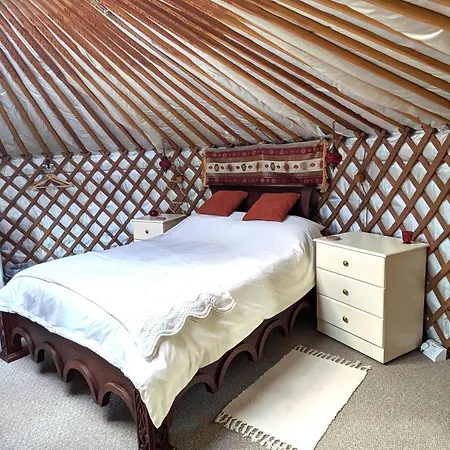 Go Eco Glamping Hotel Lampeter Exterior photo