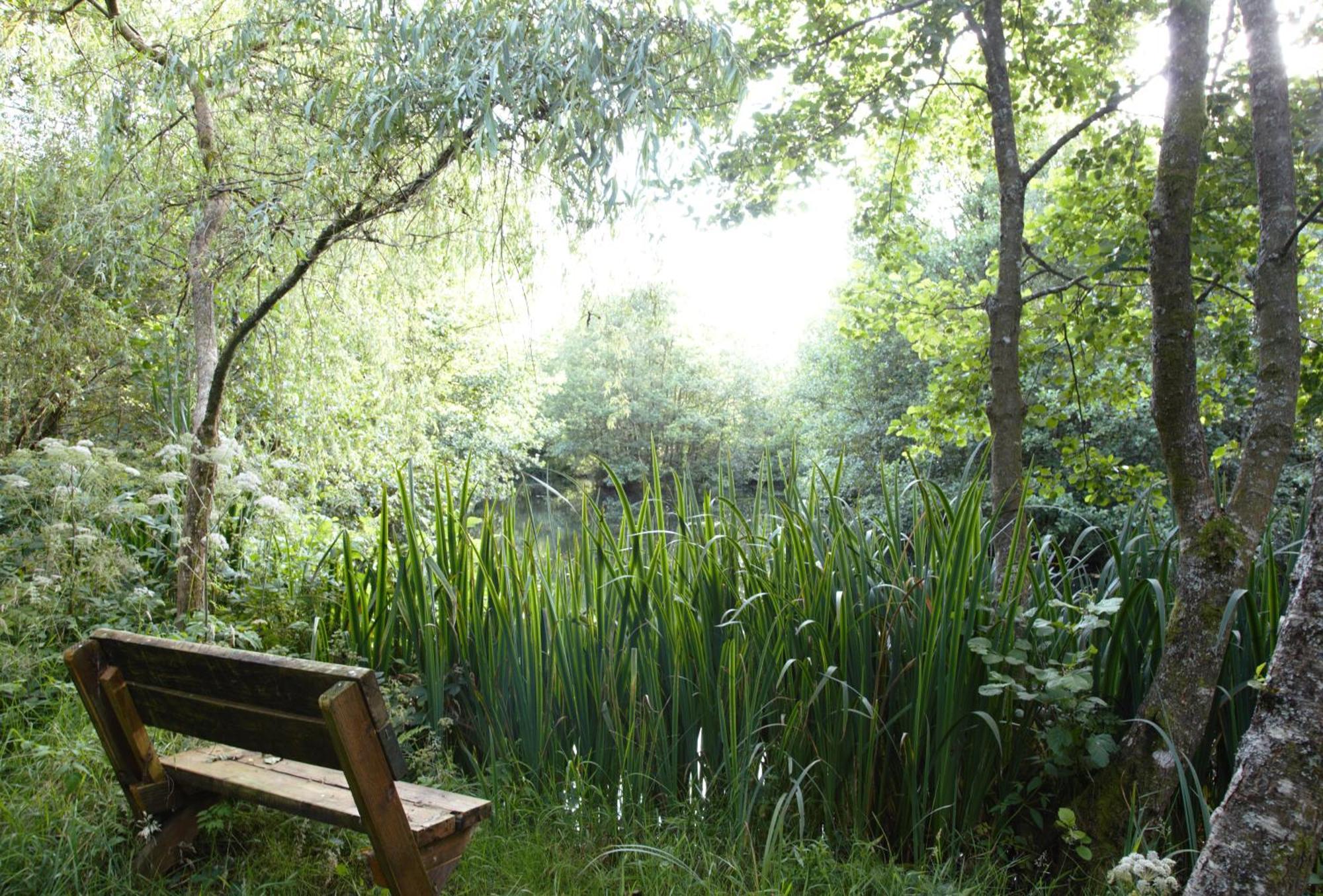 Go Eco Glamping Lampeter
