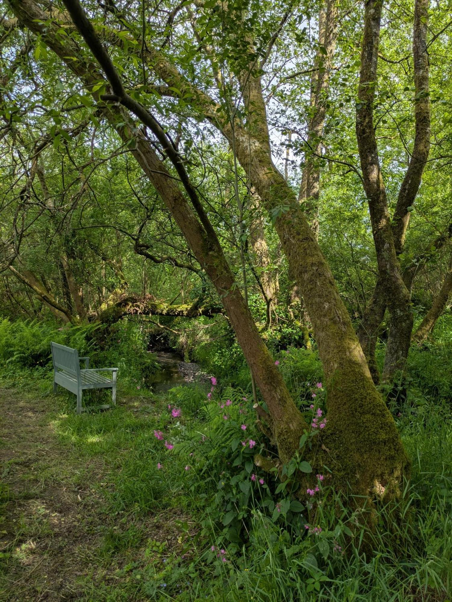 Go Eco Glamping Campo de lujo Lampeter
